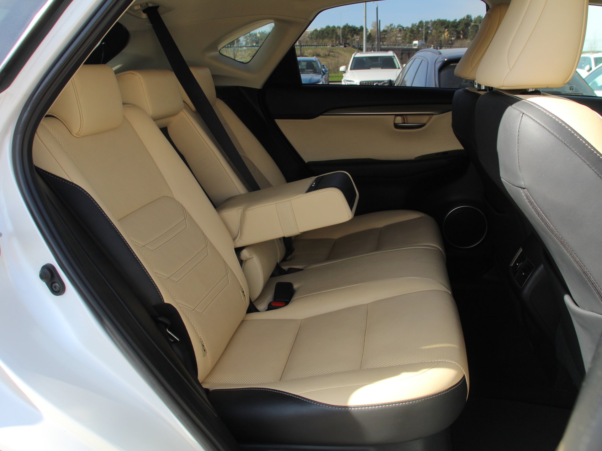 Naudoti Lexus NX 300h automobiliai