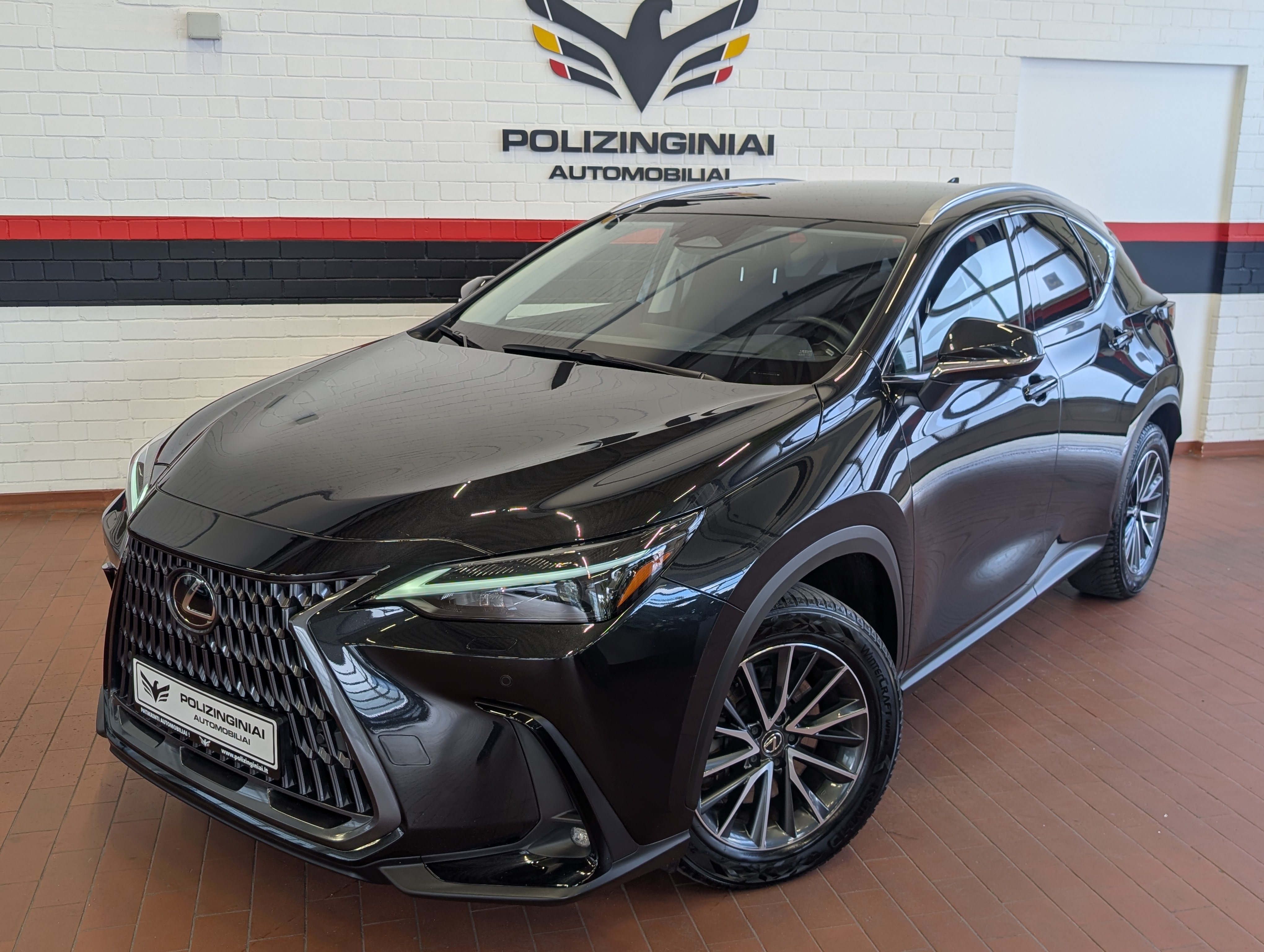Naudoti Lexus NX 450h+ automobiliai