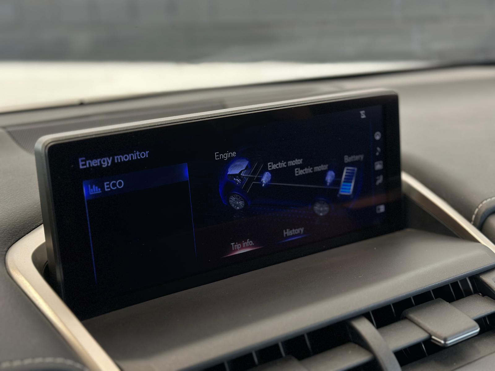 Naudoti Lexus NX 300h automobiliai