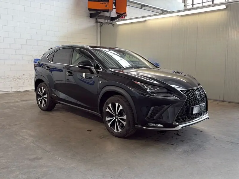 Naudoti Lexus NX 300h automobiliai